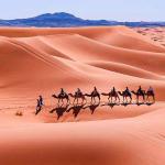 saharaholidaytours