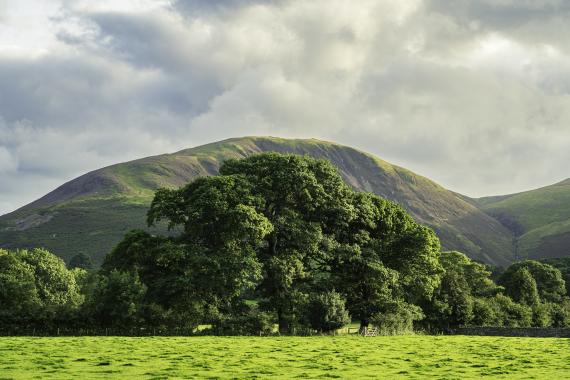 Parc National du Lake District ©Matthieu Munoz