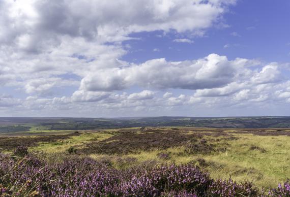 North York Moors ©Matthieu Munoz