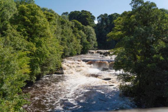 Les cascades d'Aysgarth